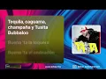Los Dareyes De La Sierra - Pasta (Versión Karaoke)