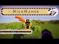 Nick Name Plugin Minecraft Plugins