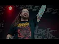 The Black Dahlia Murder - What a Horrible Night to Have a Curse (Guitar Cover)