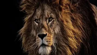 احنا شلة معروفة بس الزلم تصاحبنا محمد الشيخ 2020 