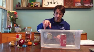 Density Floating Why Some Objects Float While Others Sink