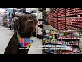 CarQuest December 2017