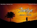 Janiye - Lofi (Slowed+Reverb) | Vishal Mishra | Rashmeet Kaur | Bollywood LofiVerse |
