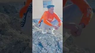 تمثيل مهرجان  مذنب برئ    حمو بلاطه   غناء الطيخا    مهرجانات      دندنها