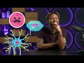 Mitosis & the Cell Cycle: How Cells Clone Themselves: Crash Course Biology #29