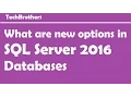 SQL Sever 2016 - What are new options in SQL Server 2016 Databases