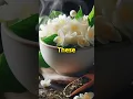 Jasmine Tea Helps Prevent Cancer