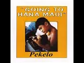 My Hawaiʻi Nei
