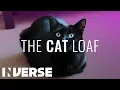 Why do Cats Sit in a Loaf Inverse