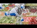 Download Lagu MELELES HR INI SEPERTI PANEN⁉️DPT 2KG CABE,1KG BAWANG BASAH KEN4 K3NC!N9 TETAP DIAMBIL