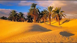 مريم السعفى ليلة البارح الواحة 3 