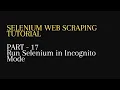 17 Run selenium in Incognito Mode - Python