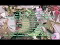 Melanie Martinez - POSSESSION (Clean Version)