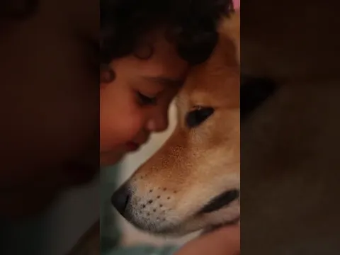 ❤❤❤