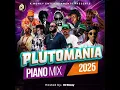 AFROBEAT 2025,AMAPIANO AUDIO MIX PLUTOMANIA MIXTAPE [DJ ROZAY,WATER WATER YANSH 