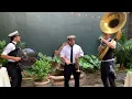 Big Fun Jazz Trio aka A Cuties Brass Band