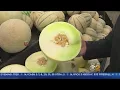 Tony s Tip Of The Day Honeydew