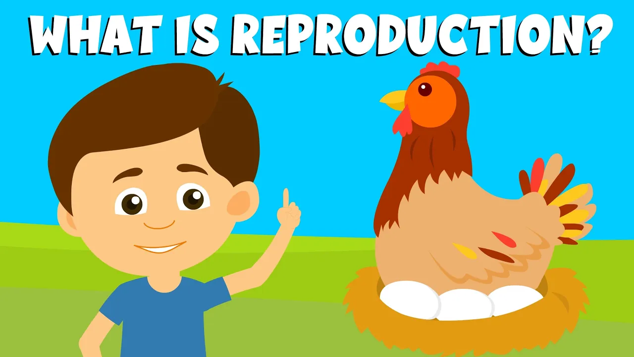 Reproduction-Types of reproduction-Reproduction in plants and animals-Video for Kids