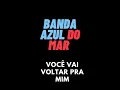 Você Vai Voltar pra Mim