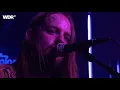 250 Miles / Brain Cycles (live 2015) - Radio Moscow