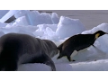 Download Leopard Seal Kills Emperor Penguin | Blue Planet | BBC Earth mp4 3gp mp3 videos - waplic