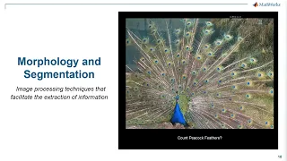 Computer Vision Part 2 Morphology Segmentation 2022