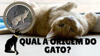 A ORIGEM DO GATO DOMÉSTICO - ONDE OCORREU A PRIMEIRA DOMESTICAÇÃO