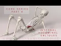 Core Series Part 4 Internal Abdominal Obliques Muscles 3D Animation