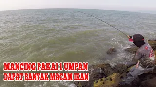 Download Nggak Nyangka! Hanya Pakai Satu Umpan Ini, Mancing Dapat Banyak Macam Ikan MP3