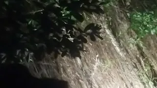 nonton wayang cara lawas ki warseno slenk di atw