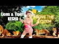 Download Lagu Lions y Tigers - KESHA ( Lyric Video)