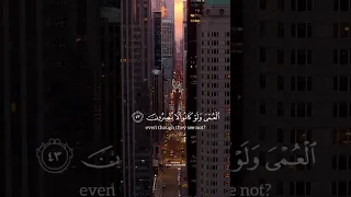 ومنهم من ينظر إليك أفأنت تهدي العمي ولو كانوا لا يبصرون القارئ عبد الرحمن مسعد 