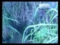 Pancuran Bambu