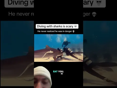 Diving with sharks is scary