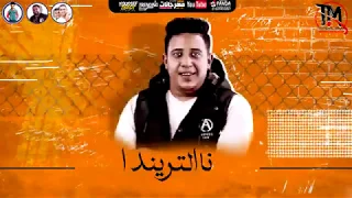 مهرجان هلا والله   علي الرخيصه كلبه الجنيه   غناء حمو بيكا وفيلو وابو ليله   توزيع زيزو المايسترو دندنها