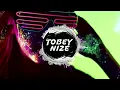 Shirin David feat. Ski Aggu - Atzen und Barbies (TOBEY NIZE x A.K Germany REMIX)