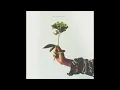 Far Caspian - Between Days