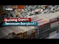 Download Lagu Menjelaskan Dengan Mudah Kenapa Gudang Garam Terancam Bangkrut
