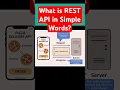 What is REST API