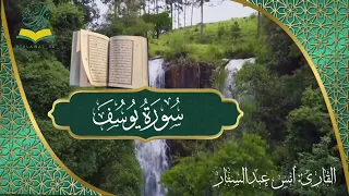 تلاوة ندية من سورة يوسف القاريء أنس عبدالستار دندنها