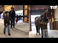 Boy With Down Syndrome Reunited With Favorite Therapy Horse