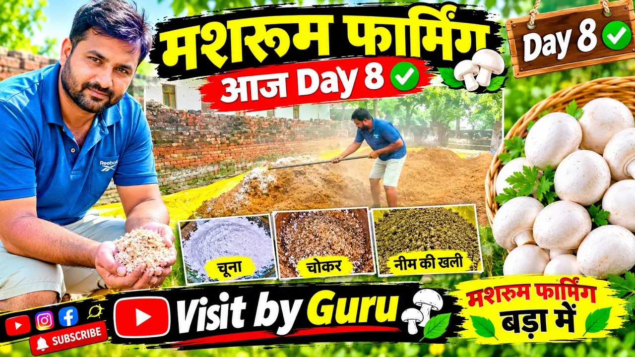 मशरूम फार्मिंग Day 8 🍄 | चूना, चोकर और नीम की खली मिलाई | Mushroom Farming in Hindi