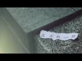 吳業坤 Kwan Gor - 原來她不夠愛我 Official Lyric Video - 官方完整版