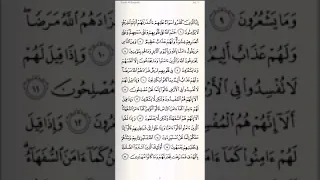 سورة البقرة الصفحة 3 مكررة عشرون مرة للقارئ الشيخ ماهر المعيقلي 