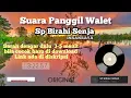 Download Lagu Suara panggil walet Sp Birahi Senja Original