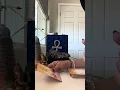Download Lagu GODESS ISIS \u0026 HATHOR BRING A DIRECT MESSAGE FOR ALL HIGH PRIESTESSES🏺🕯️(ORACLES, MEDIUMS, HEALERS)