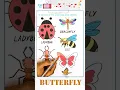 5 Insects Worksheet for Kids Ladybug Dragonfly Ant Bee Color and Write Download Free PDF