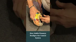How to Mobilize the Maxilla-Pterygoid Joint for Sphenoid Balance Cranial Technique Demo