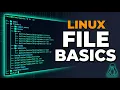 Linux File Basics in 10 Mins Real-World Examples