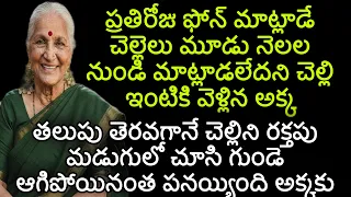 ప్రతిరోజు ఫోన్ మాట్లాడే చెల్లెలు మూడు నెలల మాట్లాడలేదని చెల్లిఇంటికి వెళ్లిన అక్క @Teluguvoice2911 